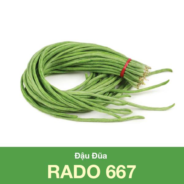 [HCM]Hạt Giống Đậu Đũa Cao Sản _gói 20gram. DỄ TRỒNG
