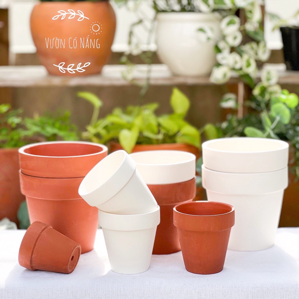 Chậu đất nung trồng sen đá, xương rồng - vườn sen đá