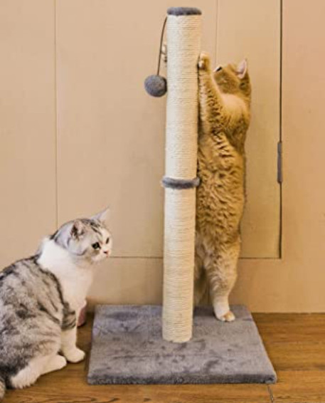 Trụ cào móng cho mèo kèm đồi chơi cao- Cat tre đồ chơi mèo - cây cào móng cho mèo
