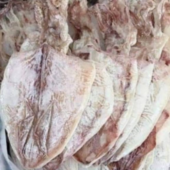 20 con mực khô ngon như hình