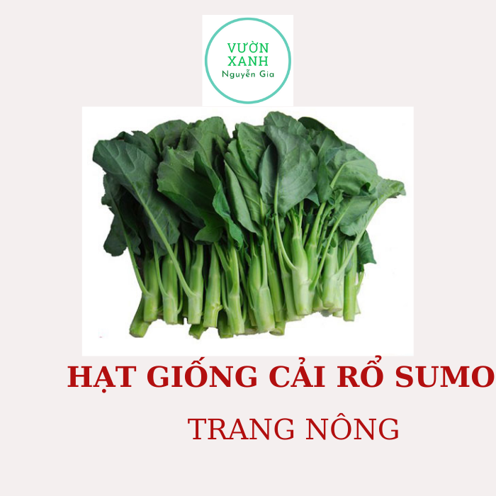Hạt giống cải rổ sumo bịch 20g