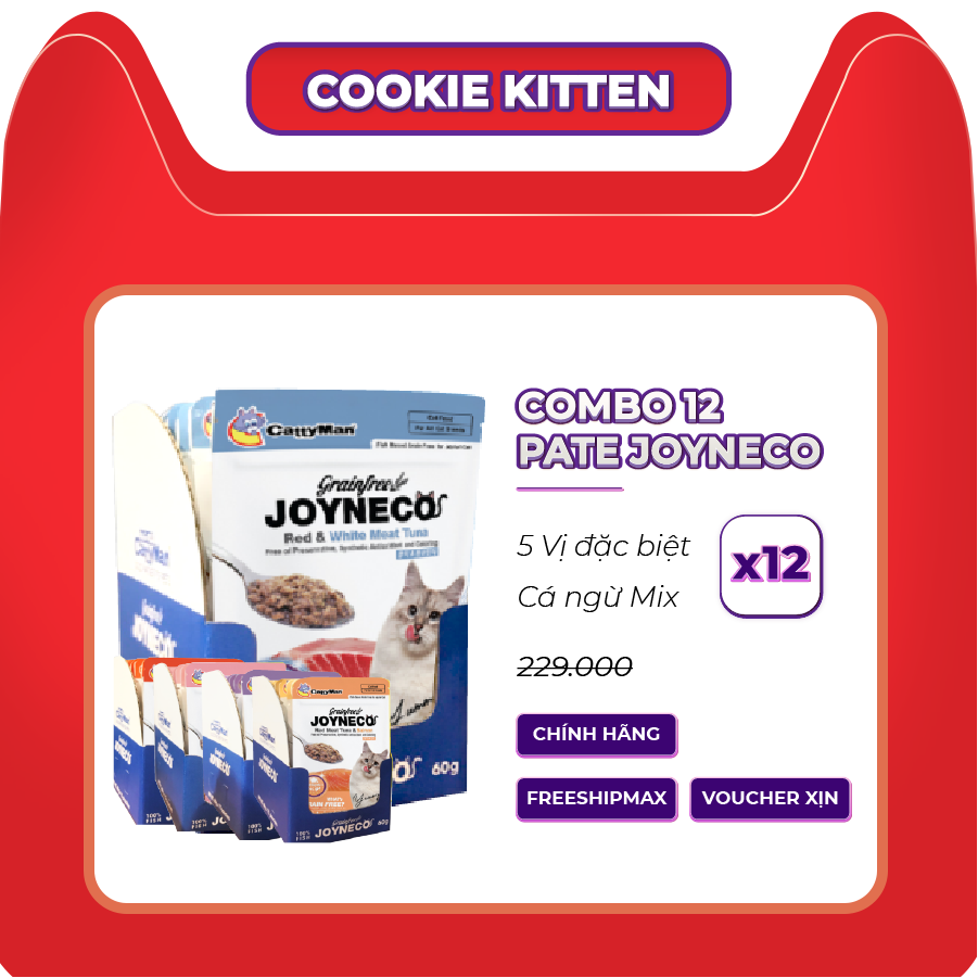 Combo 12 gói - pate joyneco - từ cá nguyên chất thơm ngon tốt cho mèo - 5 vị - 60g