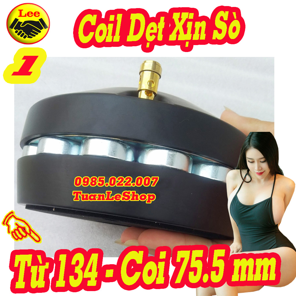 LOA TREP 750 COIL 76 NEO BI - COIL 75,5MM – GIÁ 01 CỦ TREBLE  - NEO BI 750 DE900S