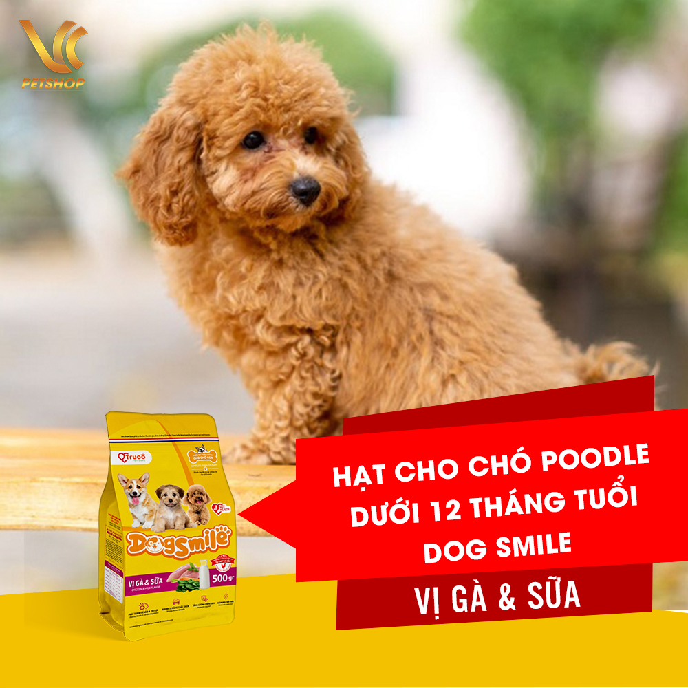 Thức Ăn Hạt Cho Chó Poodle Con Hạt Cho Chó Poodle Trưởng Thành Dog Smile