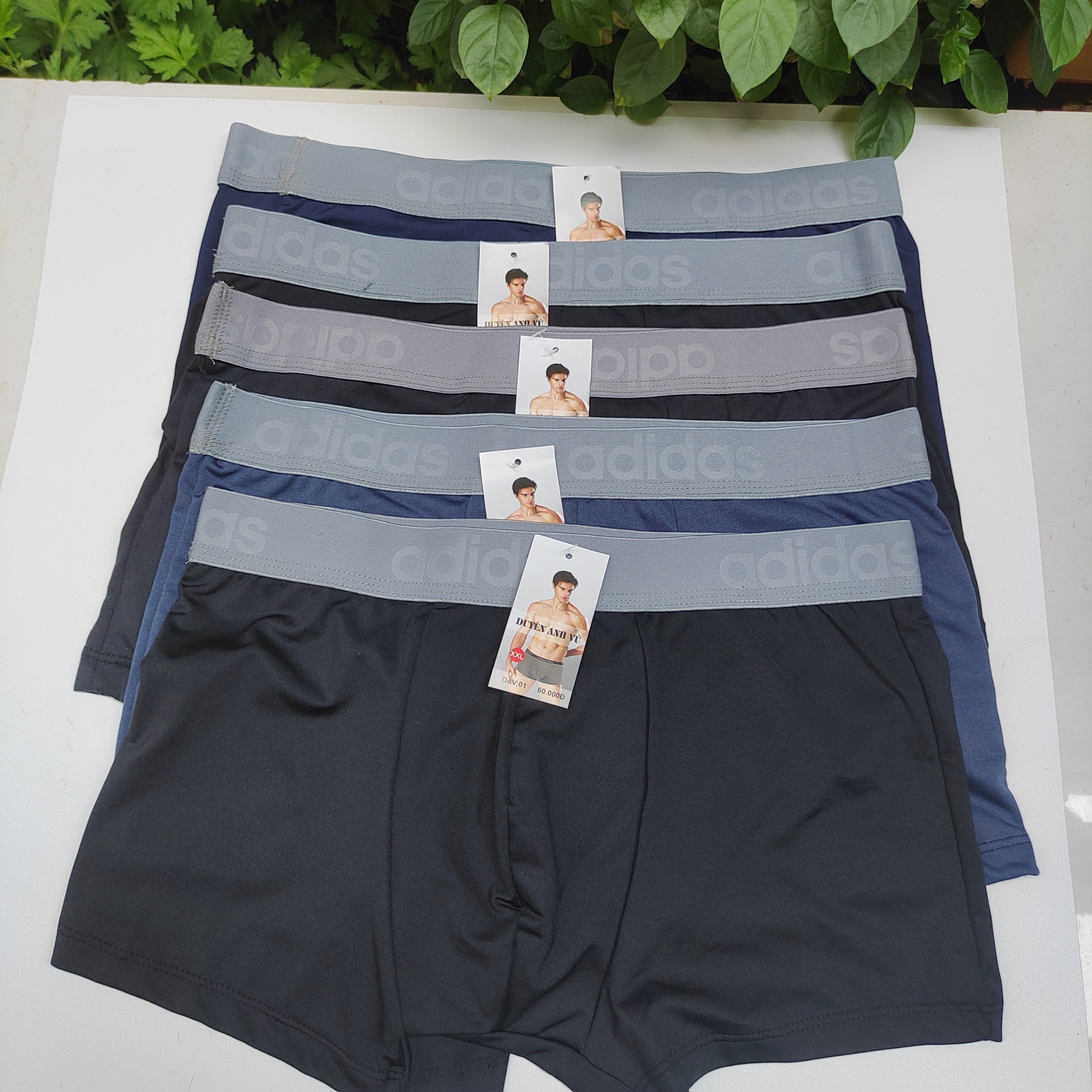 5 Quần Lót Đùi Nam [ Miễn Phí Vận Chuyển ] Quần Sip Nam , Quần Xì / Quần Boxer Có Đủ Size Cho Người Từ 40-90kg sẽ mặc vừa