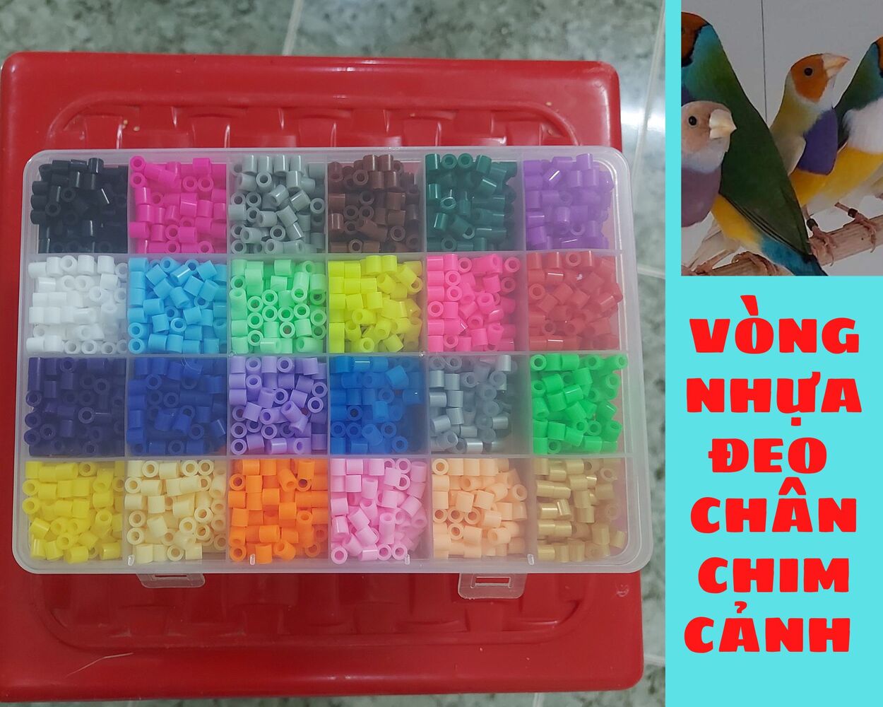 Vòng nhựa đeo chân chim cảnh nhỏ. Chất liệu: Nhựa cứng. Xuất xứ: Châu Âu. 50 cai/100k
