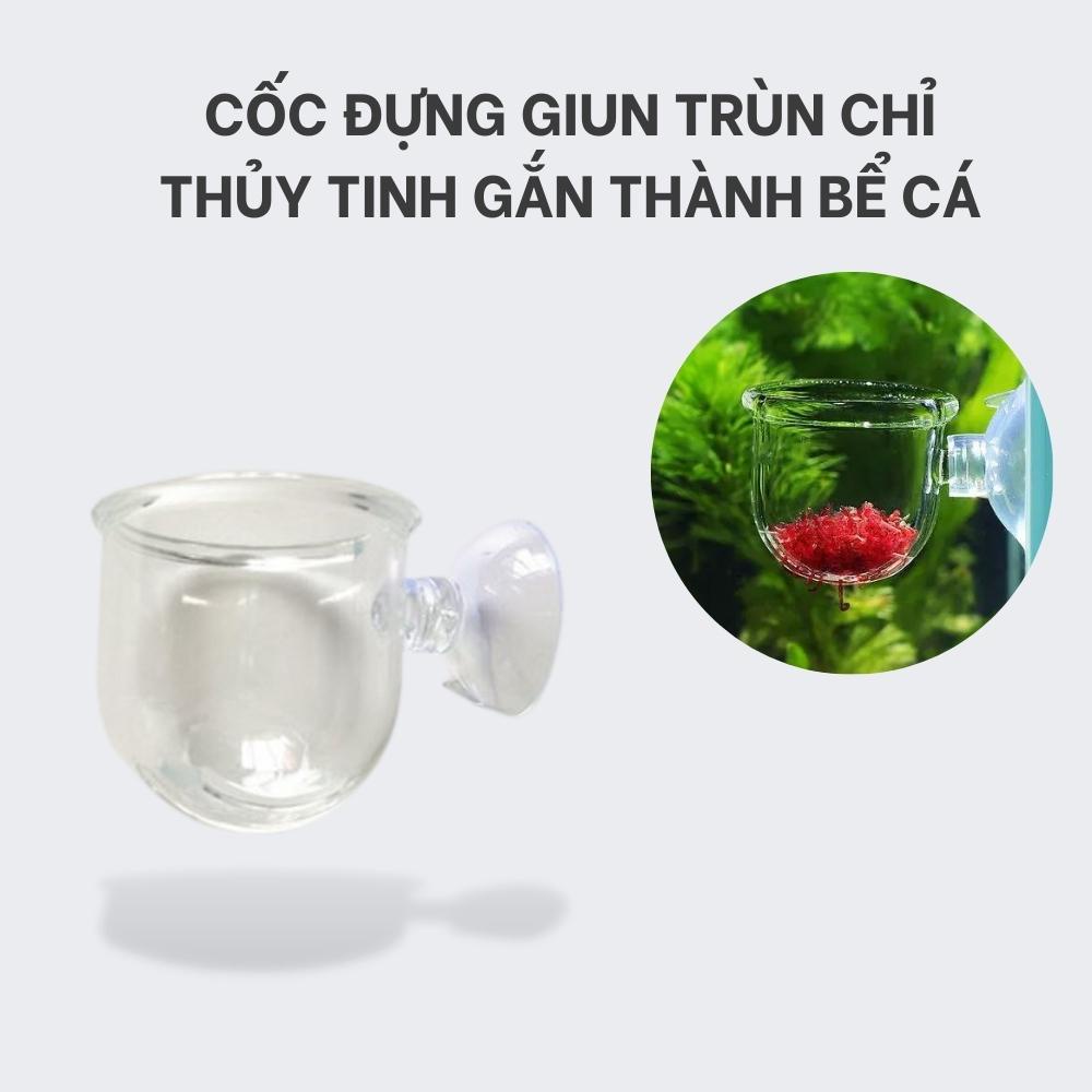 Cốc đựng giun,trùn chỉ thủy tinh cho hồ cá kèm hít kính