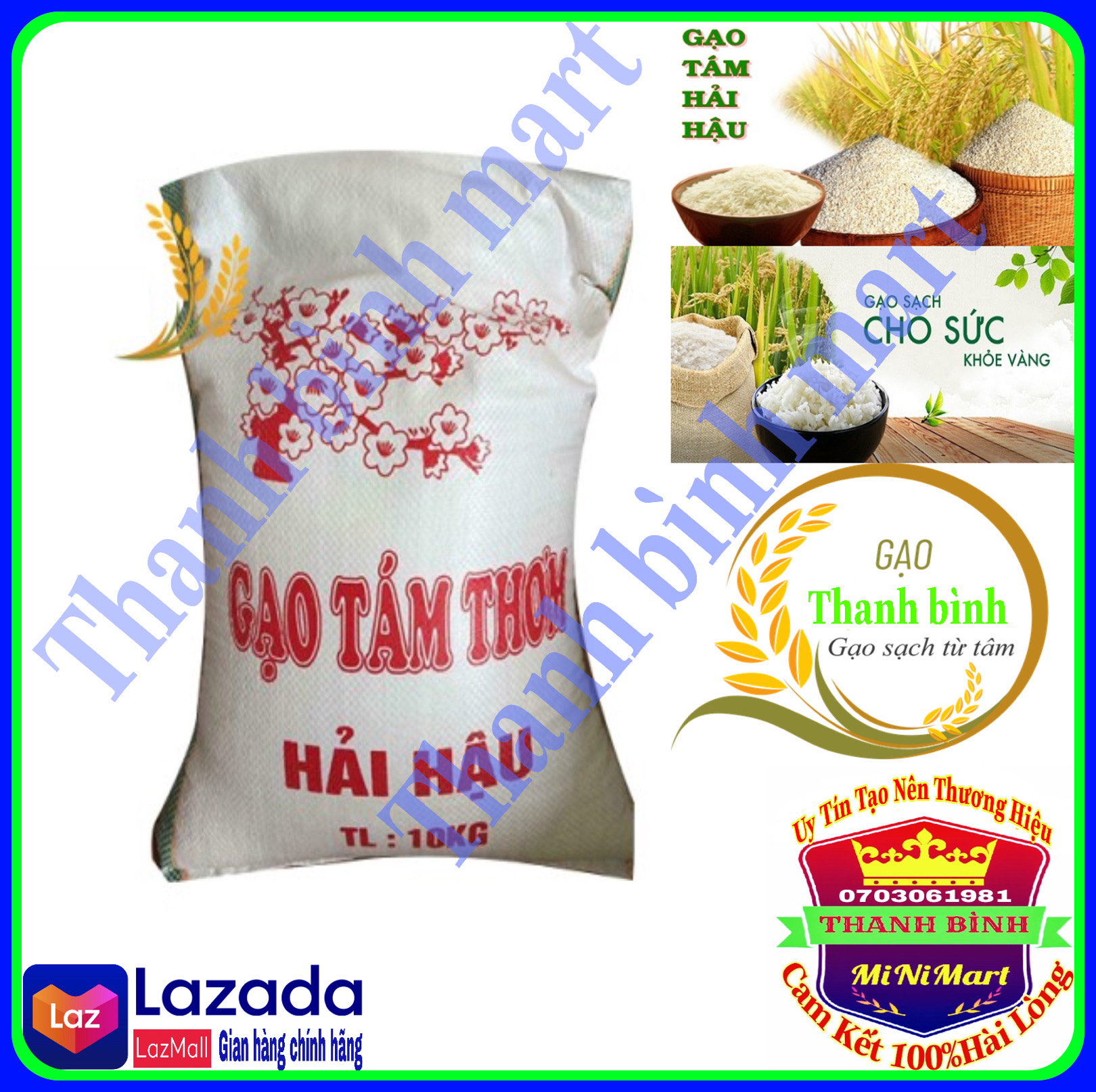 Bịch 10kg gạo tám hải hậu