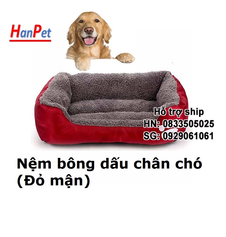 Giường Ngủ Cho Mèo giá rẻ Tháng 8,2024|BigGo Việt Nam