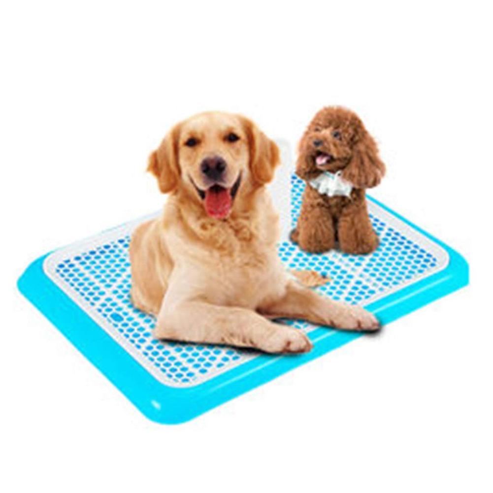 HCM- Khay vệ sinh cỡ lớn 65cm x 42cm cho chó cái hoặc chó đực đến 20kg loại khay vệ sinh cho chó lớn loại có cọc