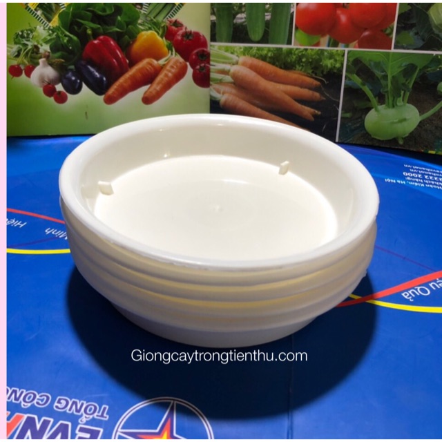 Đĩa lót chậu cây cảnh phi 12