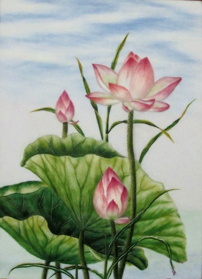 24 Tranh Vẽ Hoa Sen Tuyệt Đẹp Theo Yêu Cầu Tại AmiA  Hoa sen Thực vật  Loài hoa kỳ lạ