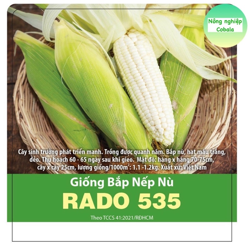 Hạt giống bắp nếp nù gói 50gr - rado 535