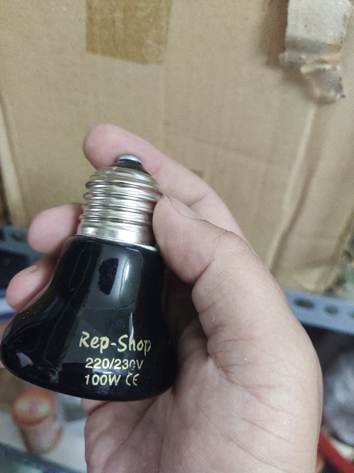Đèn sưởi sứ cho vật nuôi.