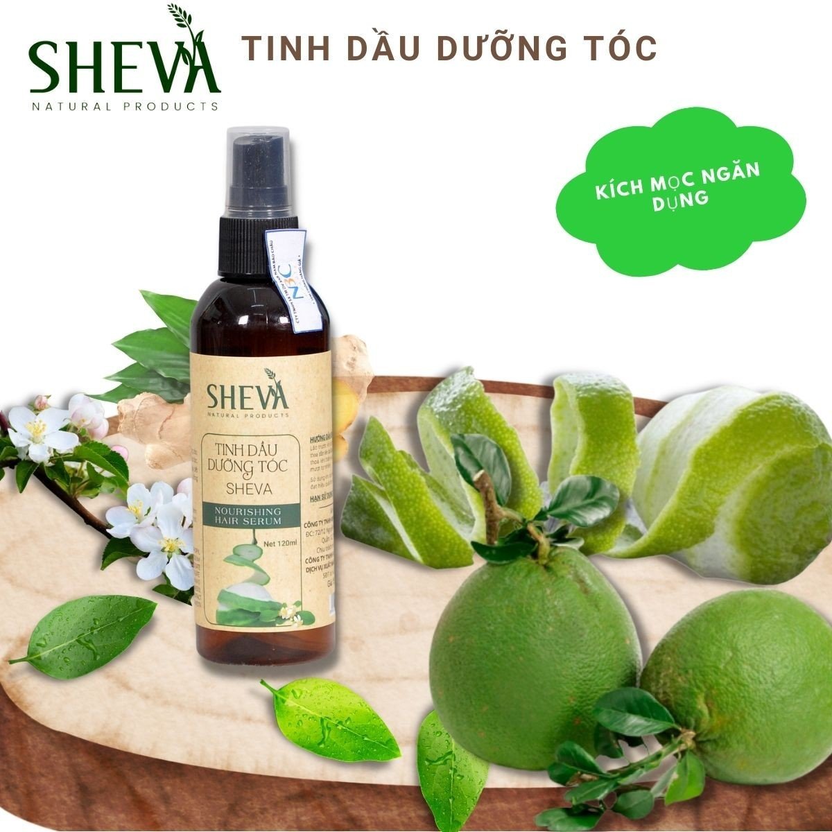 Tinh dầu xịt bưởi mọc tóc, xịt dưỡng tóc giúp kích mọc, giảm gãy rụng, thơm tóc SHEVA 100ml