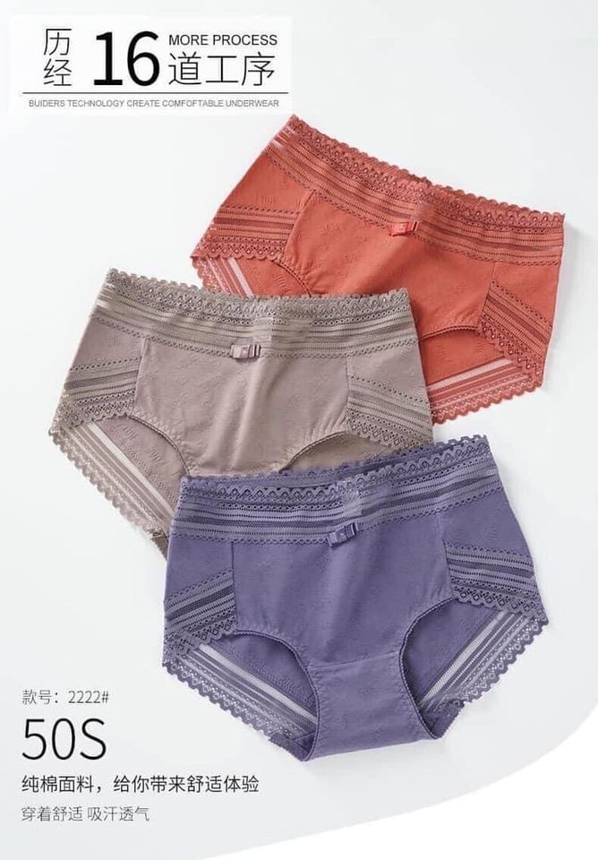 combo 5 quần lót cotton phối ren lưng cao nữ -quần chip nữ cotton kháng khuẩn