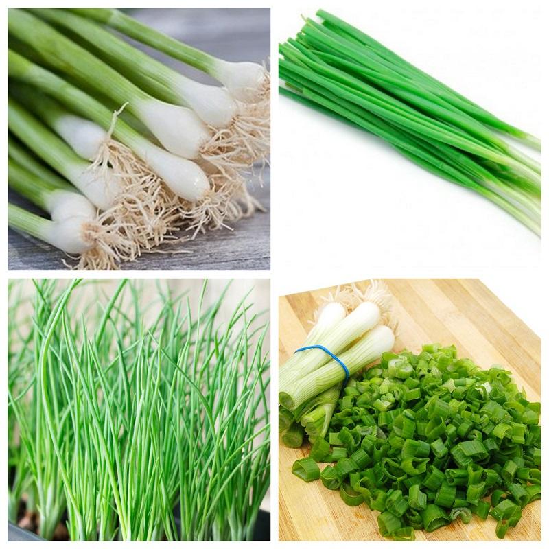 [HCM]Hành Lá Gốc Trắng _gói 2.5gram .