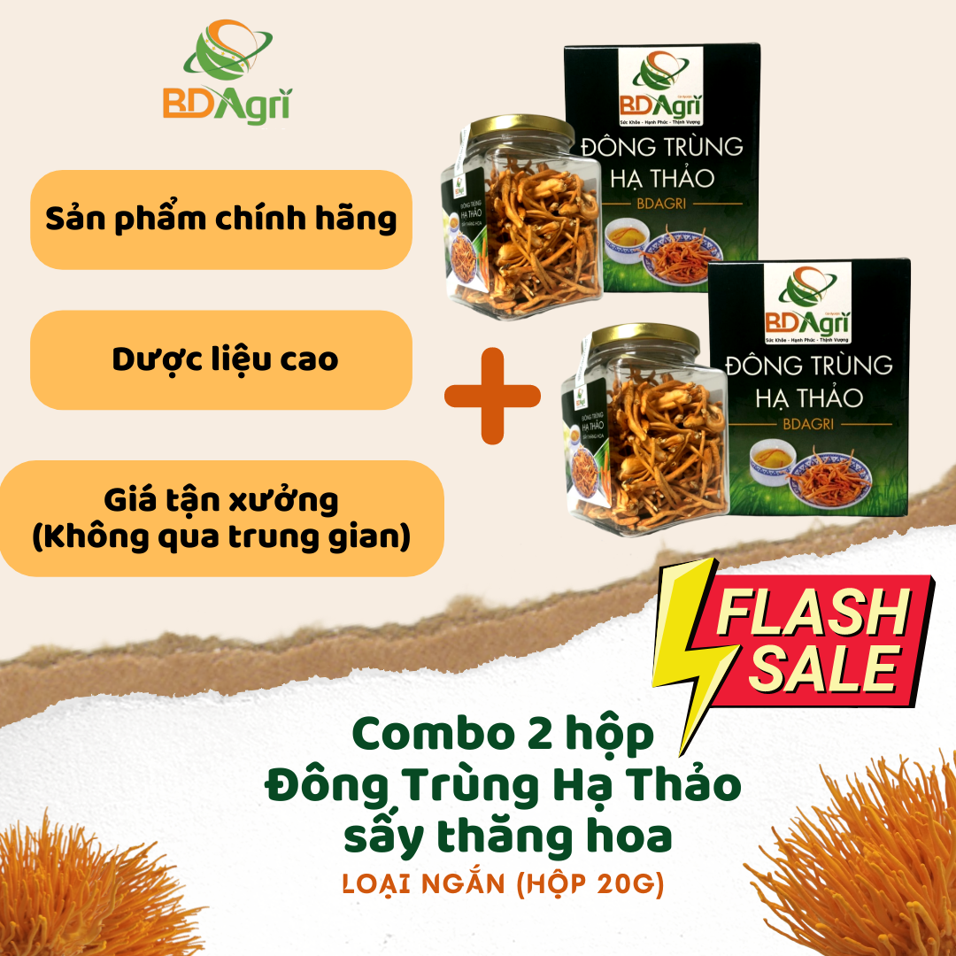 Đông trùng hạ thảo khô chính hãng BDAGRI loại 2 ngắn combo hộp 40g dược liệu cao sấy thăng hoa bồi bổ sức khoẻ ăn ngon ngủ tốt cải thiện sinh lý nam nữ