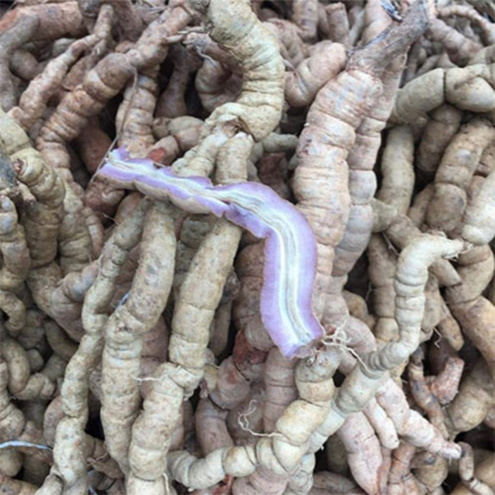 củ ba kích tím tươi 1kg