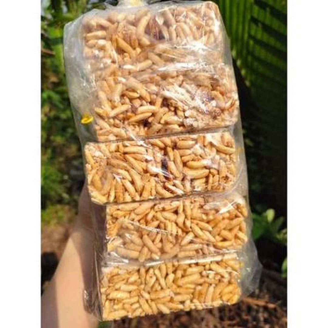 Bánh cốm gạo dừa - siêu ngon 10 cái
