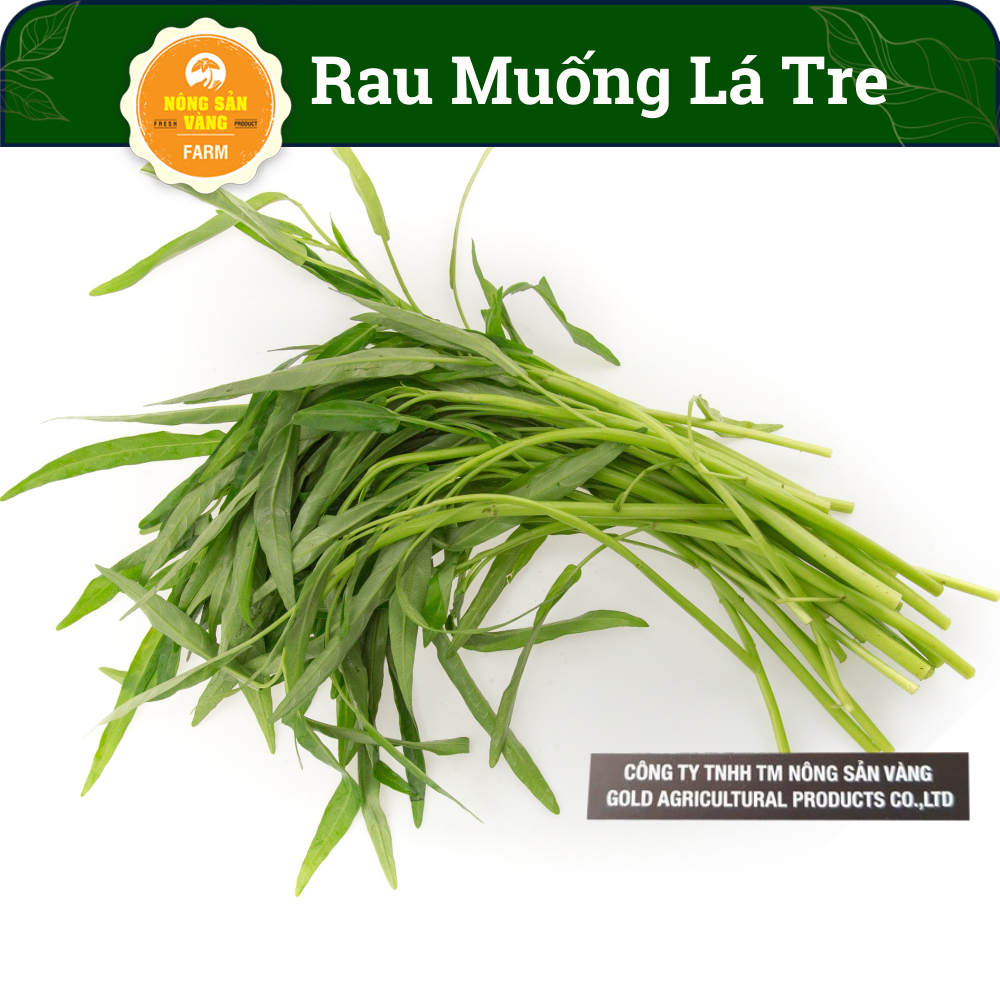 Hạt giống Rau Muống Lá Tre Tỉ Lệ Nảy Mầm Cao, Sinh Trưởng Và Phát Triển Khỏe, Năng Suất Cao (Gói 20 Gram) - Nông Sản Vàng