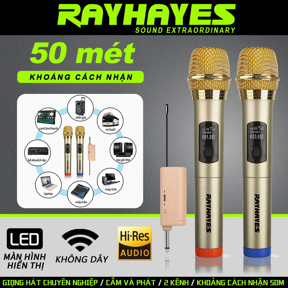 Micro không dây rayhayes dual cầm tay cho ampli videoke loa bluetooth hát karaoke