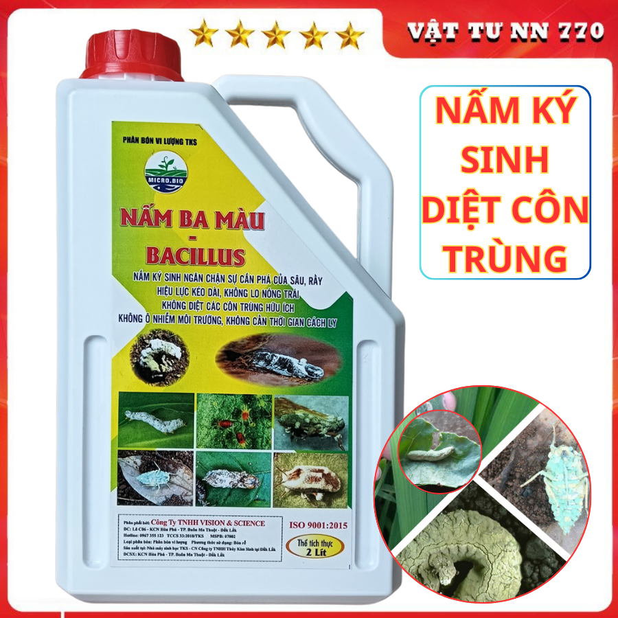 BTMET NẤM 3 MÀU Trừ Sâu Rầy Sinh Học, Rệp Sáp Gốc - Can 2 Lít