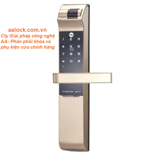 Khóa cửa thông minh yale ydm7116 cg- khóa điện tử cao cấp- npp aalock