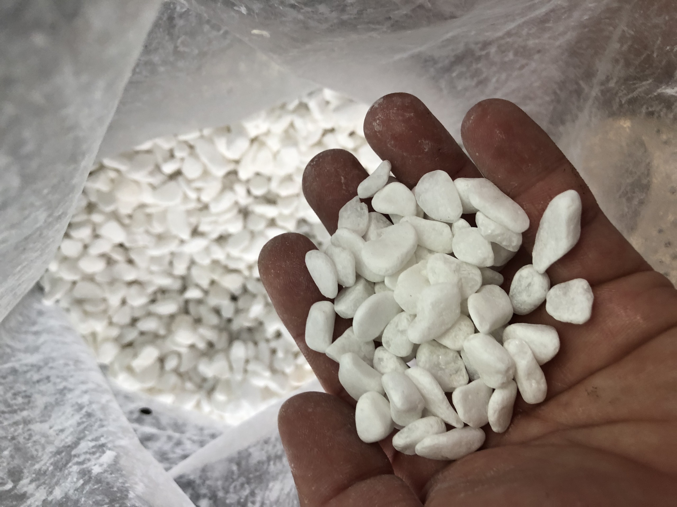 1kg Sỏi đá trắng nhỏ trang trí vườn cây nội thất, cho nhà thêm sạch và đẹp, cho nhiều không gian măng tính thẩm mỹ cao