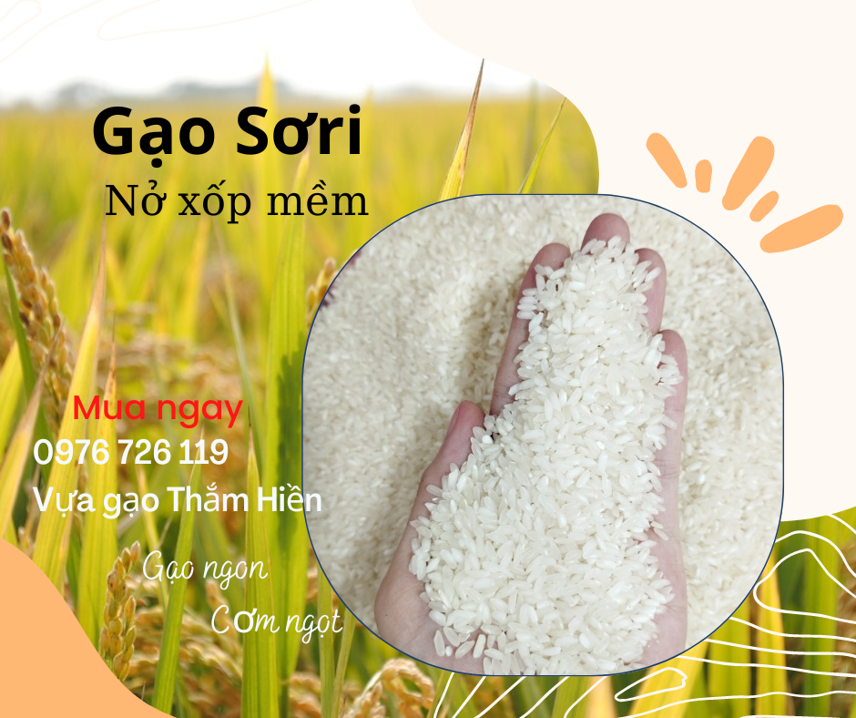 5kg gạo sơ ri - gạo nở xốp mềm - bena organic