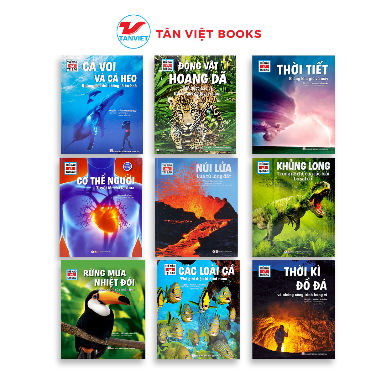 Bộ Sách Thế Nào Và Tại Sao - Thiên nhiên kì thú - Khoa học cho bé