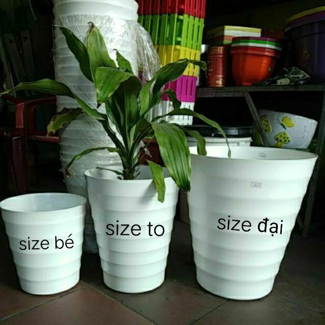 Combo 5 chậu vòng tròn đủ size trồng cây, hoa