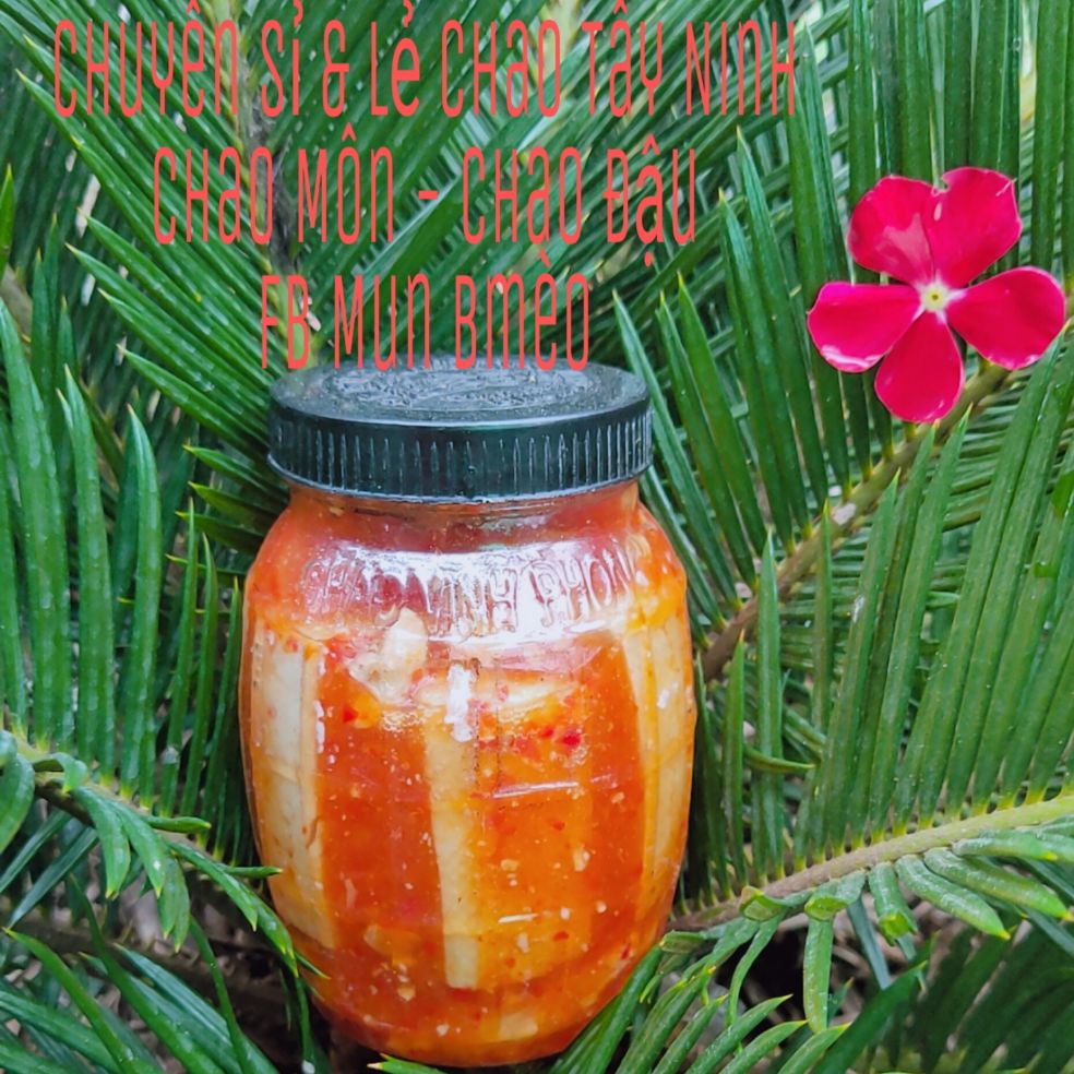 Chao môn béo Vĩnh Phong 450G