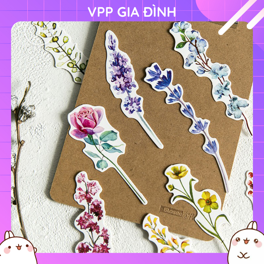 Hộp 30 đánh dấu trang sách bookmark quà tặng hoa