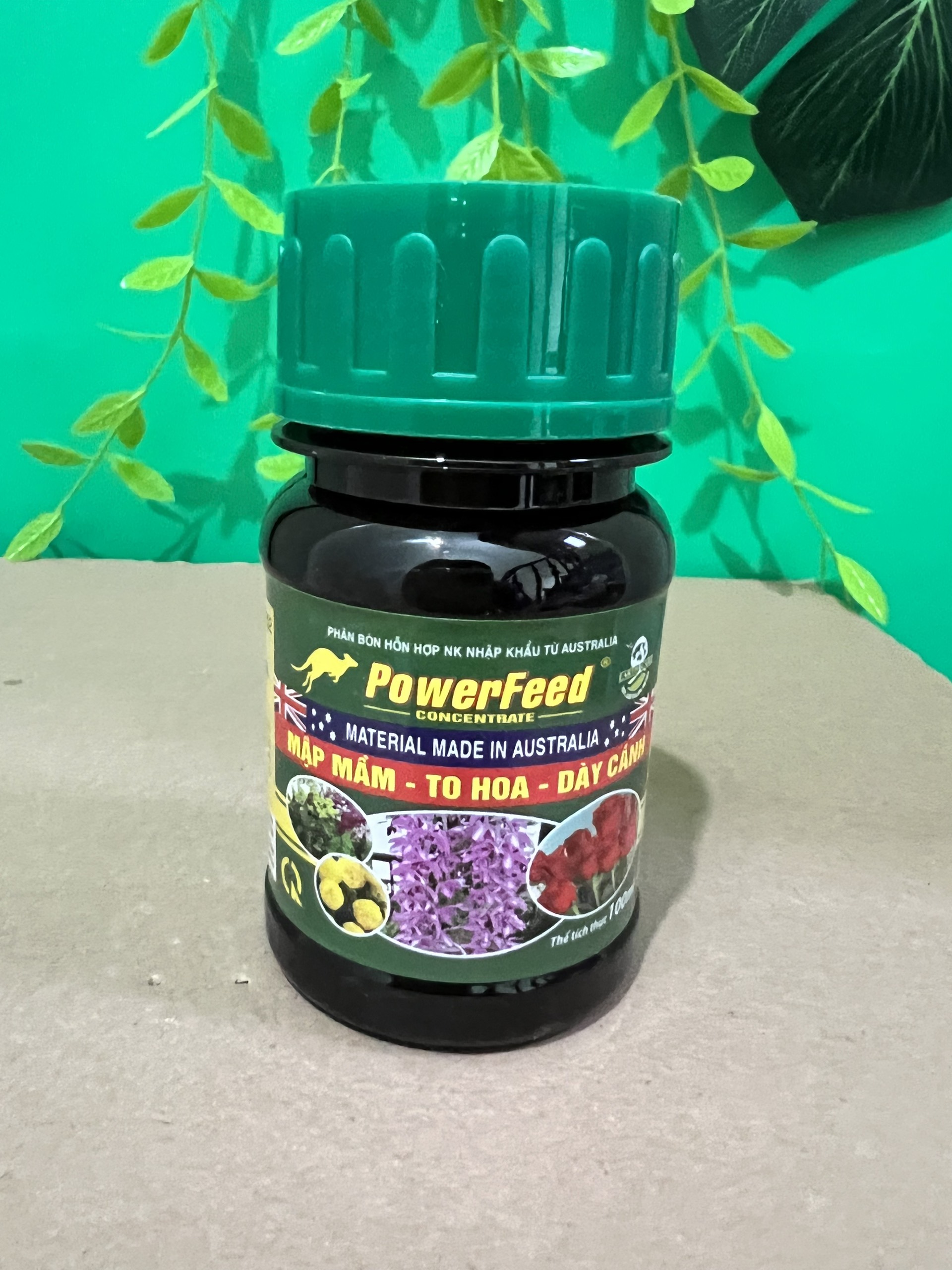 Powerfeed giúp cây mập mầm, to hoa dành cho hoa lan, hoa hồng, cây cảnh