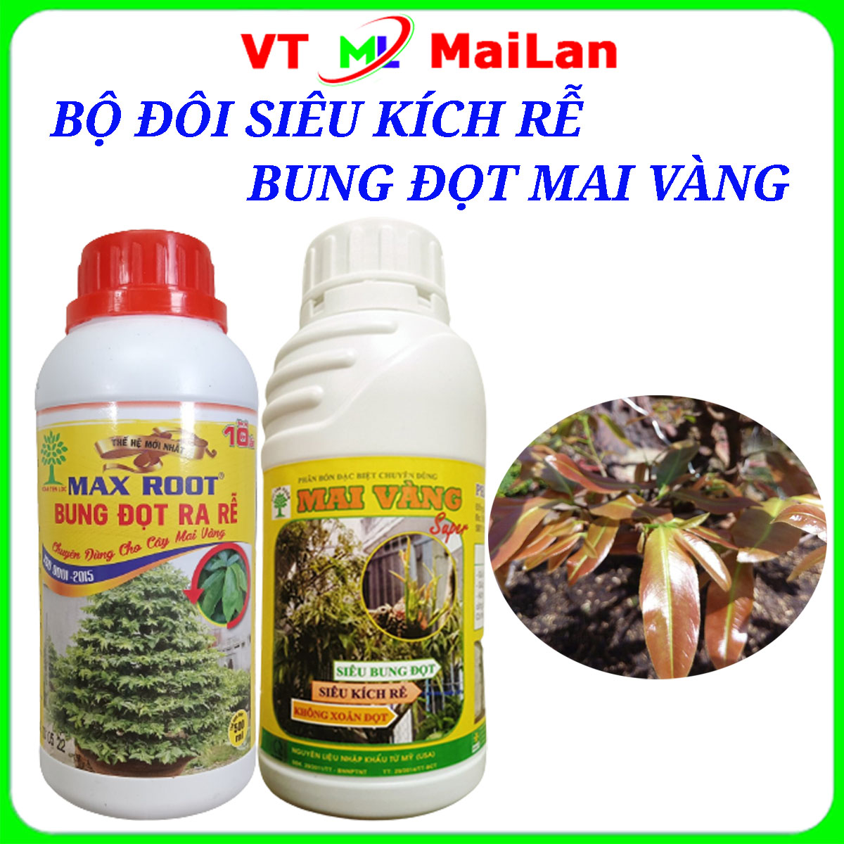 Bộ đôi siêu kích rễ bung đọt mai vàng chai 500ml