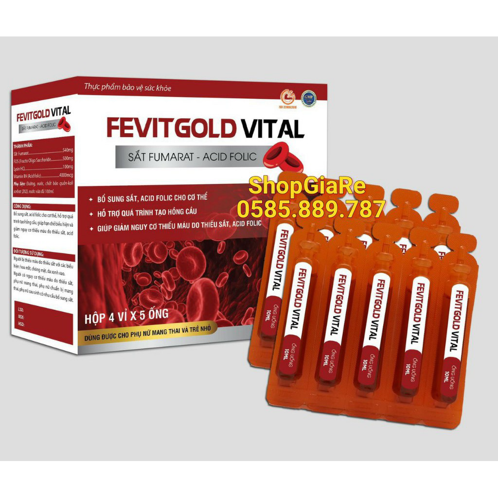 Fevitgold vital bổ sung sắt và acid folic, giảm thiếu máu do thiếu sắt