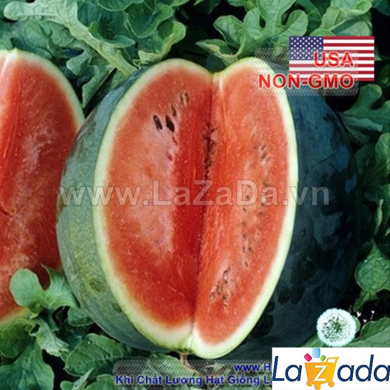 10h Hạt Giống Dưa Hấu Đen Xám 24kg (B3.402| A3*M022)