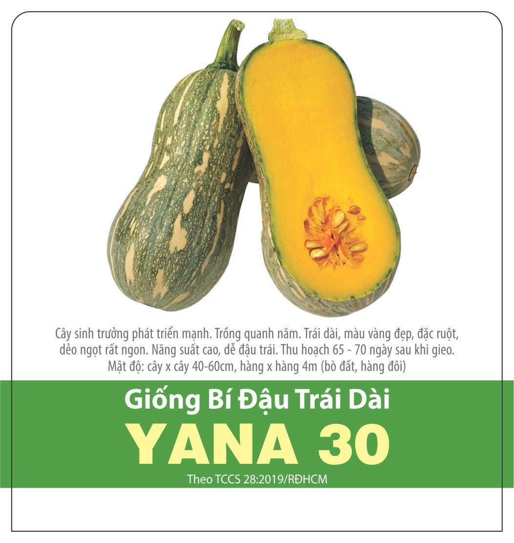 [HCM]Hạt Giống Bí Đỏ Hạt Đậu F1 RADO35_Gói 1gram . DỄ TRỒNG .