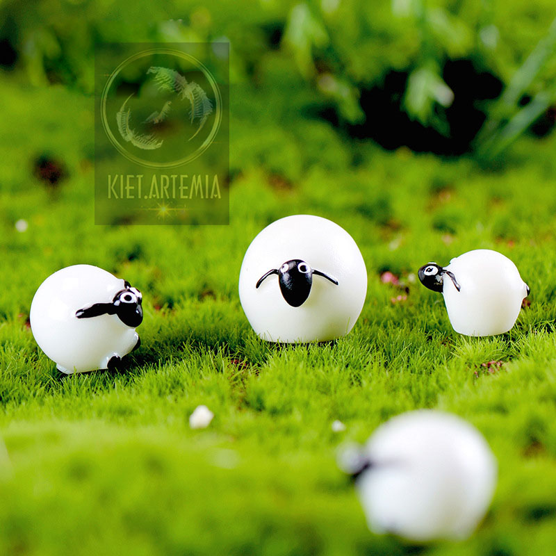 Trang trí bể cá - tượng cừu tròn, tiểu cảnh hồ cá, sen đá, terrarium, trang trí hồ cá