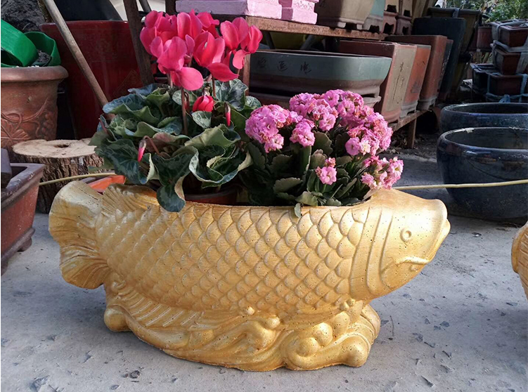 Khuôn chậu cá rồng 5523 có lòng trong