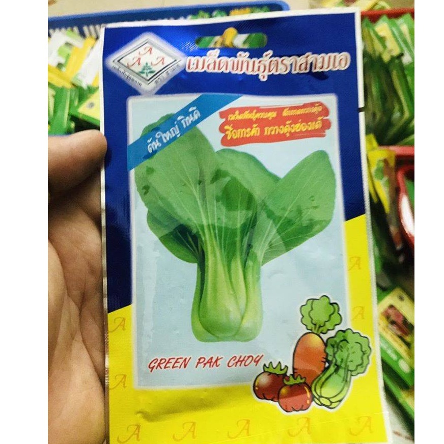 Hạt giống rau Cải chíp xanh pakchoy Thái Lan 5gr_ Rau cải thìa giòn ngọt