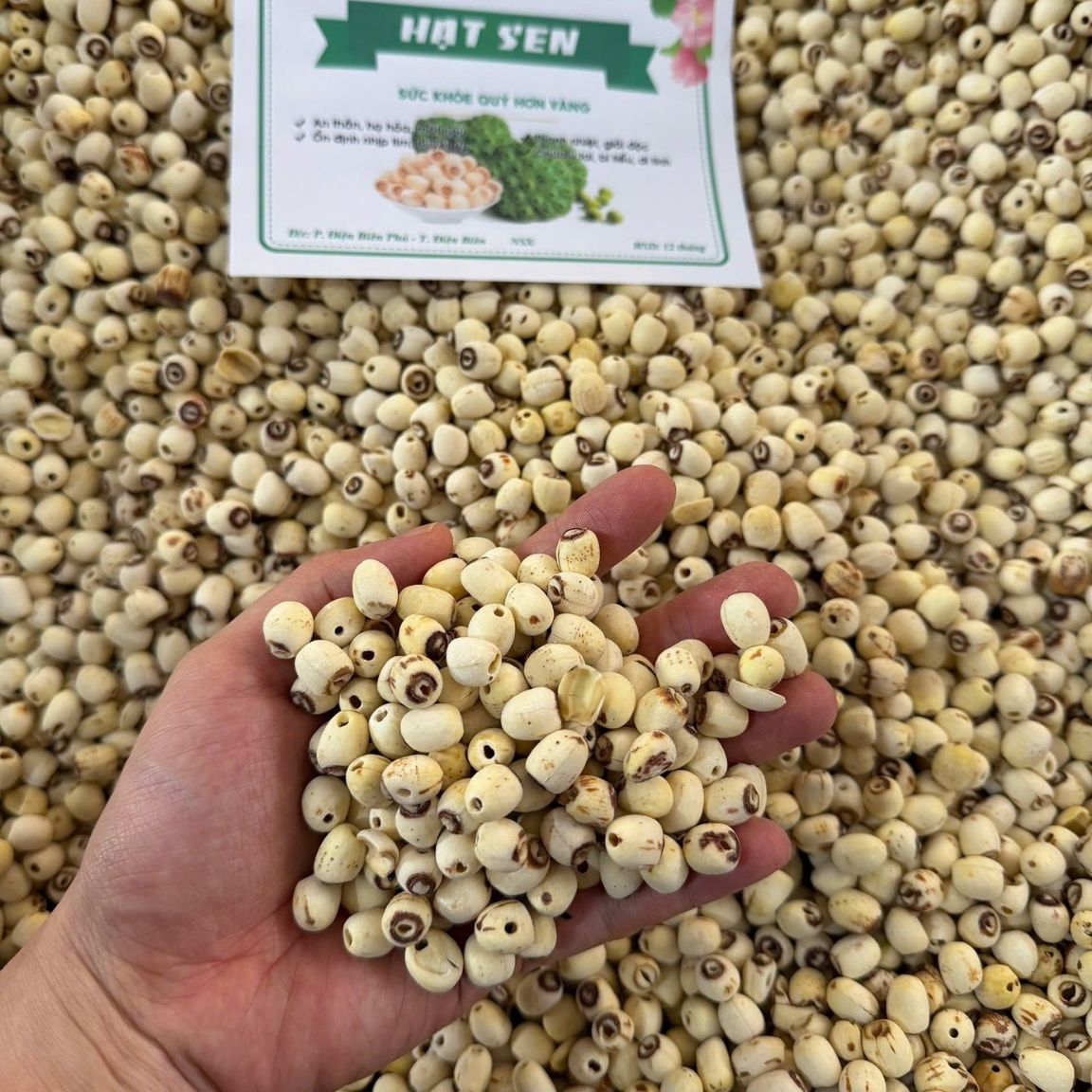 Hạt sen hữu cơ Huế sấy khô loại 1 (500g, 1kg), hạt sen khô nấu chè, nấu cháo, ngâm rượu, nấu sữa hạt, ăn dặm cho bé