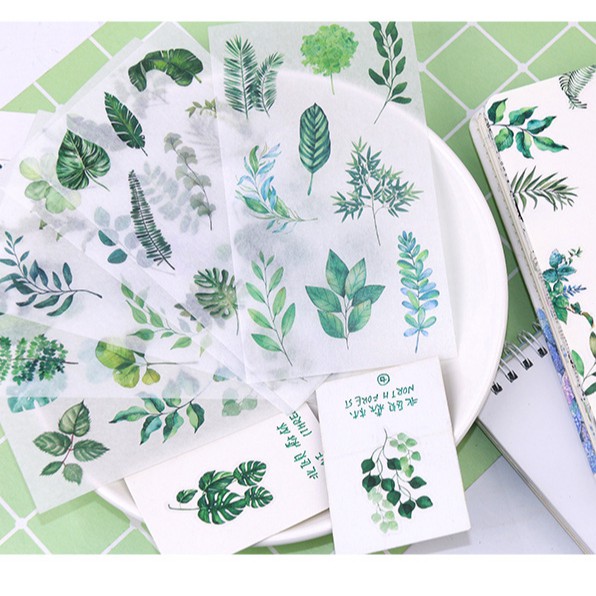 Bộ 6 tấm sticker giấy trang trí lá cây nhiệt đới