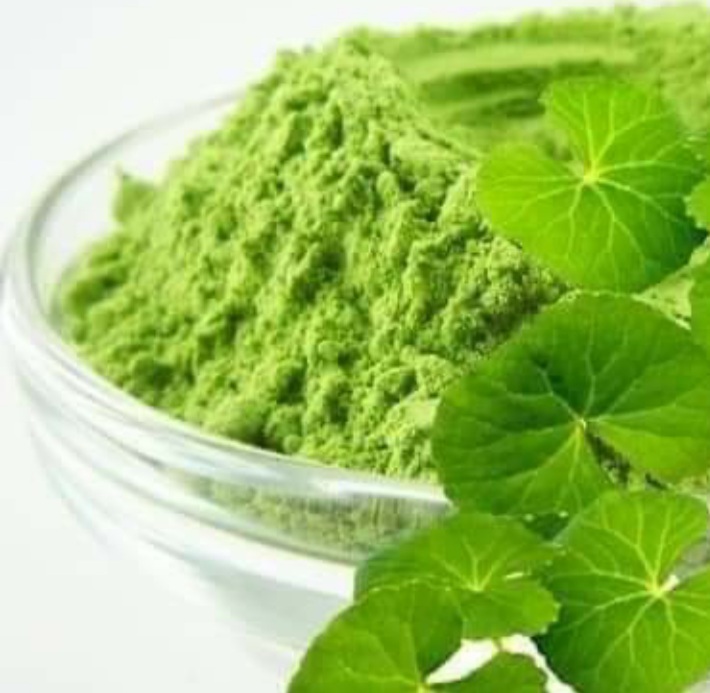 Bột rau má sấy lạnh nguyên chất cao cấp hũ 500g