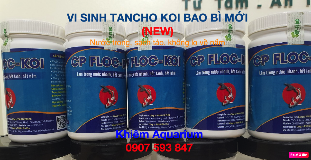 Vi sinh xử lý nước cho cá cảnh TANCHO KOI(250gram) GIÚP TRONG NƯỚC, DIỆT TẢO CHO HỒ KOI, CÁ VÀNG
