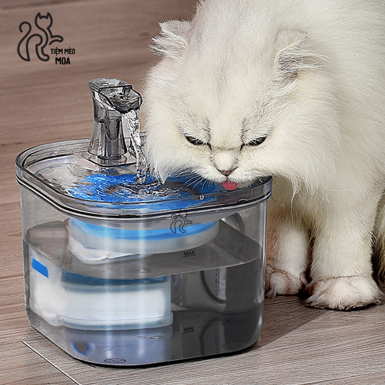 Máy uống nước tự động cho thú cưng 2L - Tiệm Mèo Moa