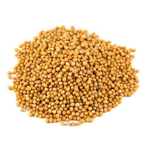 Yellow mustard seeds - Hạt mù tạt vàng