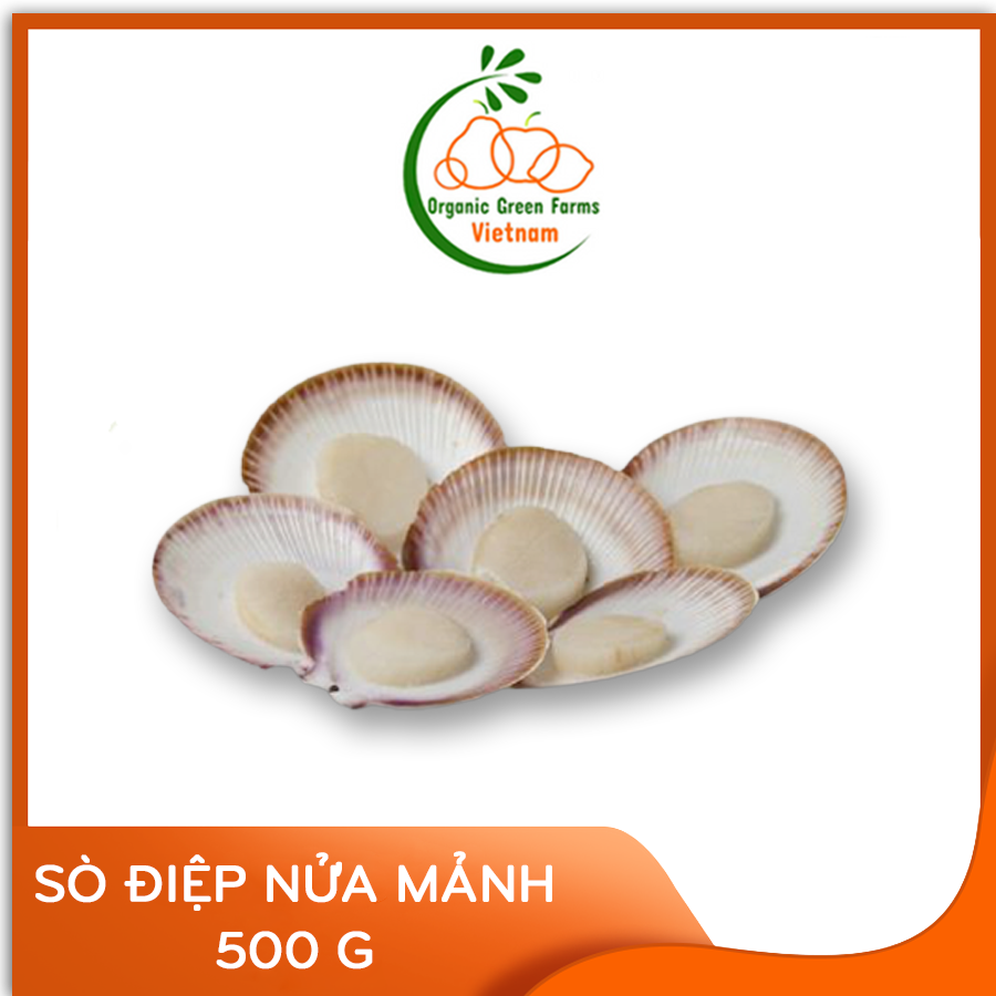 [OGF] - Sò Điệp nửa mảnh (500g) - Thích hợp với các món nướng, hấp, xào,... - [Giao nhanh TPHCM]