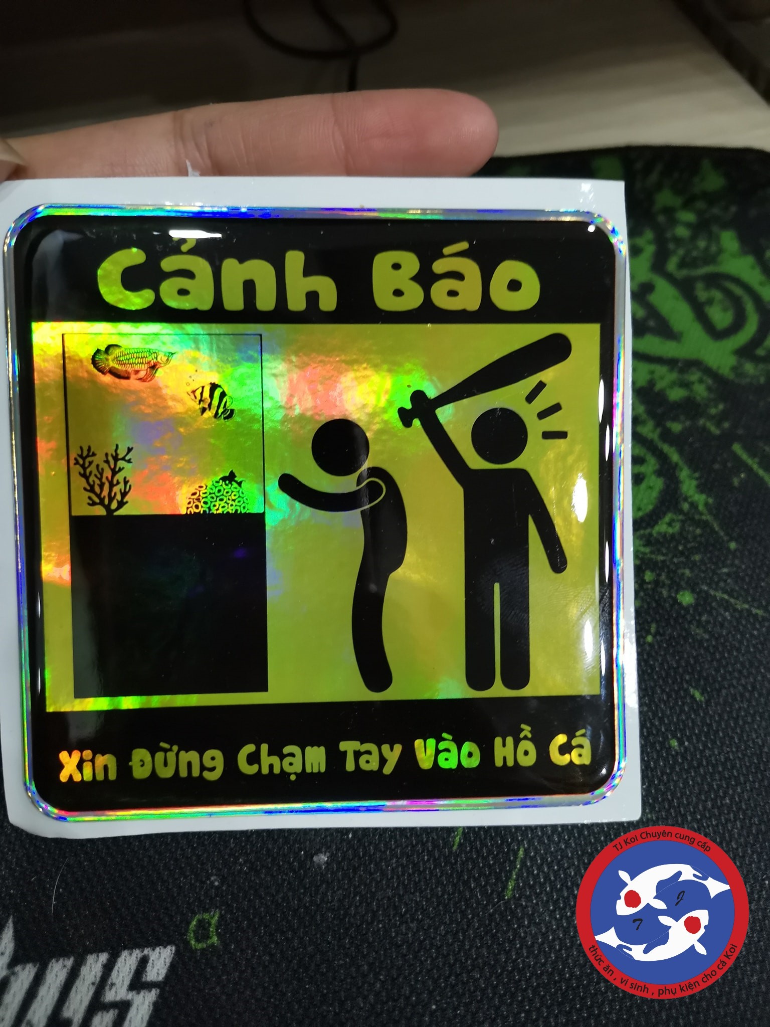 Logo cảnh báo không chạm vào hồ cá hài hước